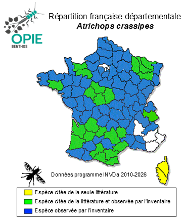 Carte de distribution de Atrichops crassipes (Meigen, 1820)