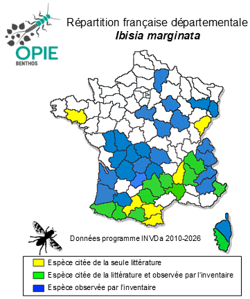 Carte de distribution de Ibisia marginata (Fabricius, 1781)
