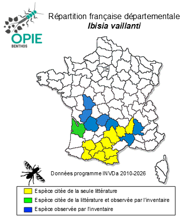 Carte de distribution de Ibisia vaillanti Thomas, 1982