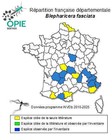 Carte de distribution de Blepharicera fasciata (Westwood, 1842)