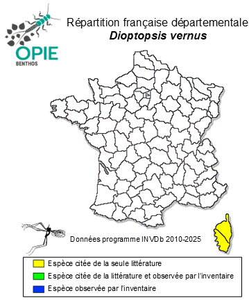 Carte de distribution de Dioptopsis vernus Giudicelli, 1963