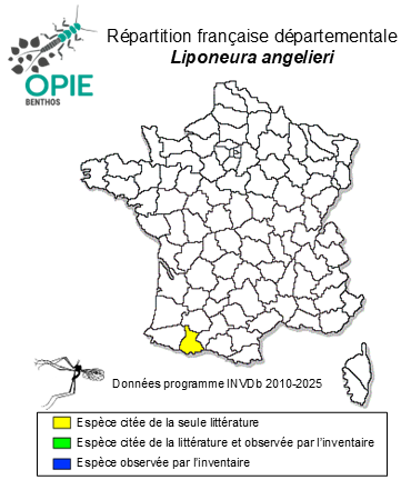 Carte de distribution de Liponeura angelieri Giudicelli & Lavandier, 1975