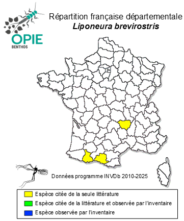 Carte de distribution de Liponeura brevirostris Loew, 1877