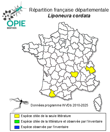 Carte de distribution de Liponeura cordata Vimmer, 1916
