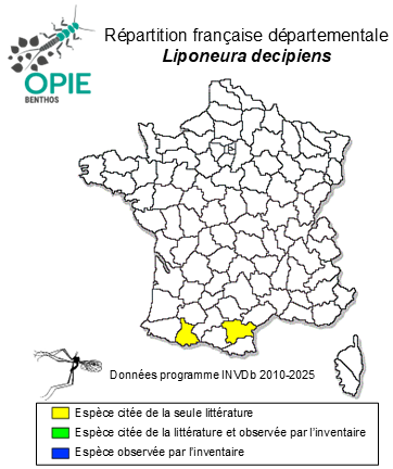 Carte de distribution de Liponeura decipiens Bezzi, 1913