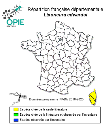 Carte de distribution de Liponeura edwardsi Bischoff, 1930