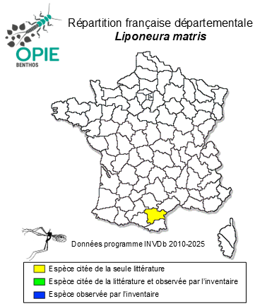 Carte de distribution de Liponeura matris Zwick, 1982