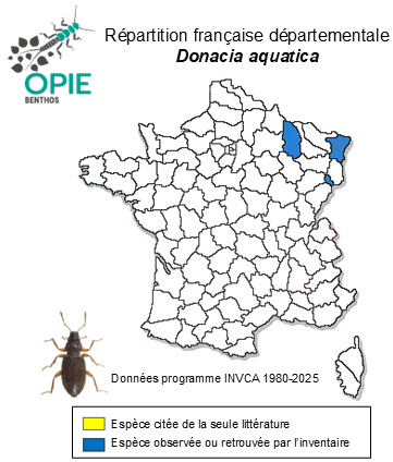 Carte de distribution de Donacia aquatica (Linnaeus, 1758)