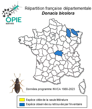 Carte de distribution de Donacia bicolora Zschach, 1788