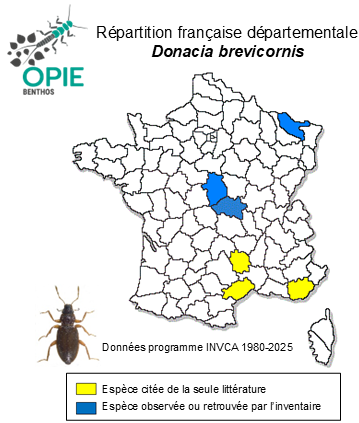 Carte de distribution de Donacia brevicornis Ahrens, 1810