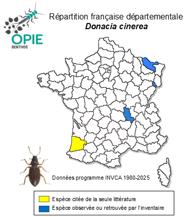 Carte de distribution de Donacia cinerea Herbst, 1784