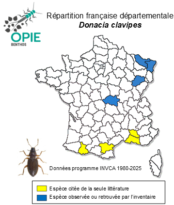 Carte de distribution de Donacia clavipes Fabricius, 1793