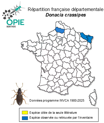Carte de distribution de Donacia crassipes Fabricius, 1775