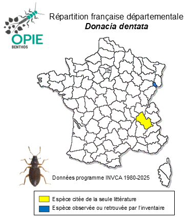 Carte de distribution de Donacia dentata Hoppe, 1795