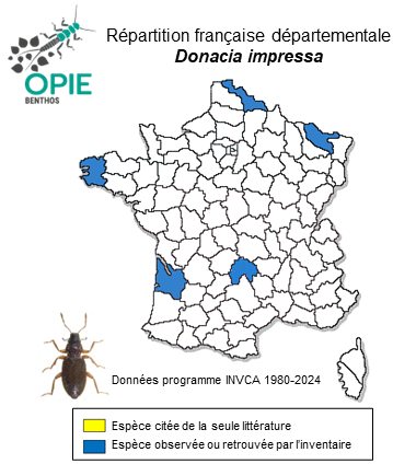 Carte de distribution de Donacia impressa Paykull, 1799