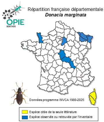 Carte de distribution de Donacia marginata Hoppe, 1795