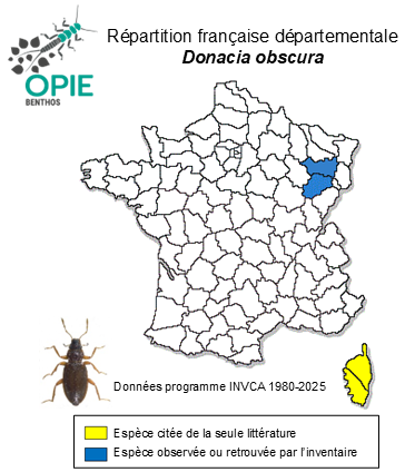 Carte de distribution de Donacia obscura Gyllenhal, 1813