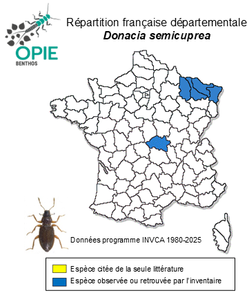 Carte de distribution de Donacia semicuprea Panzer, 1796