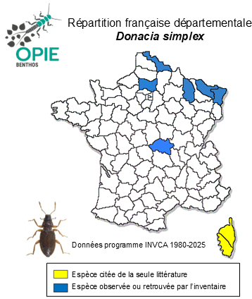 Carte de distribution de Donacia simplex Fabricius, 1775