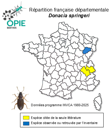 Carte de distribution de Donacia springeri Müller, 1916