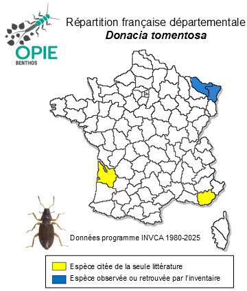 Carte de distribution de Donacia tomentosa Ahrens, 1810