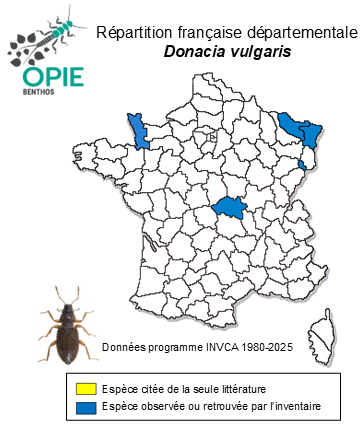 Carte de distribution de Donacia vulgaris Zschach, 1788