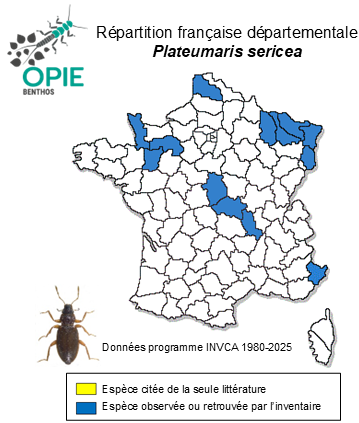 Carte de distribution de Plateumaris sericea (Linnaeus, 1761)
