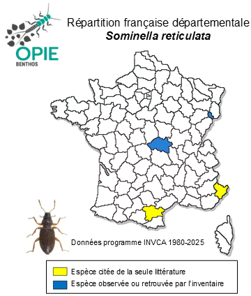 Carte de distribution de Sominella reticulata (Gyllenhal, 1817)