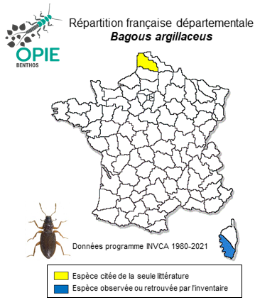 Carte de distribution de Bagous argillaceus (Gyllenhal, 1836)