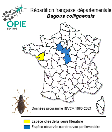 Carte de distribution de Bagous collignensis (Herbst, 1797)