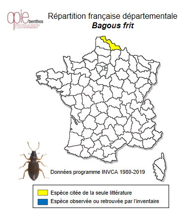 Carte de distribution de Bagous frit (Herbst, 1795)