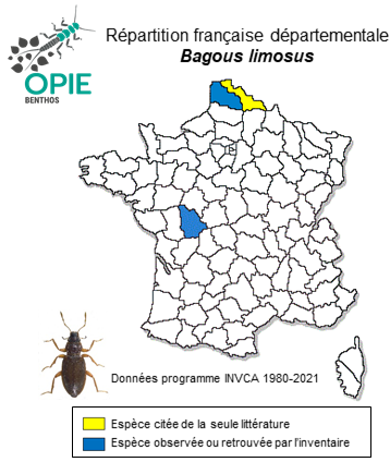 Carte de distribution de Bagous limosus (Gyllenhal, 1827)