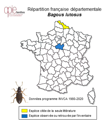 Carte de distribution de Bagous lutosus (Gyllenhal, 1813)