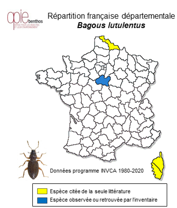 Carte de distribution de Bagous lutulentus (Gyllenhal, 1813)