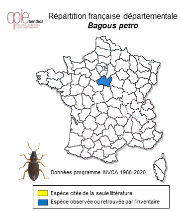 Carte de distribution de Bagous petro (Herbst, 1795)