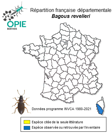 Carte de distribution de Bagous revelieri Tournier, 1874