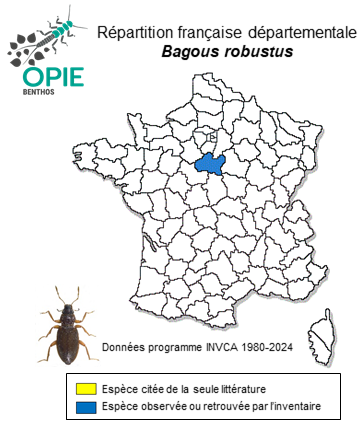 Carte de distribution de Bagous robustus Brisout de Barneville, 1863