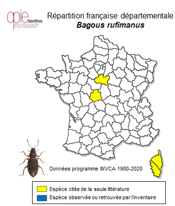 Carte de distribution de Bagous rufimanus Péricart, 1989