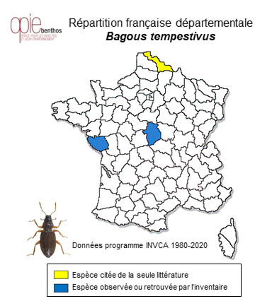 Carte de distribution de Bagous tempestivus (Herbst, 1795)