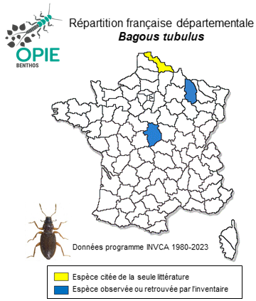 Carte de distribution de Bagous tubulus Caldara & O'Brien, 1994