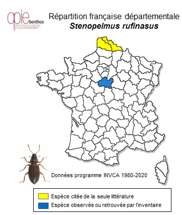 Carte de distribution de Stenopelmus rufinasus Gyllenhal, 1836