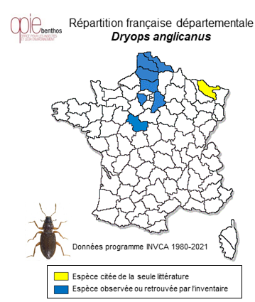 Carte de distribution de Dryops anglicanus Edwards, 1909