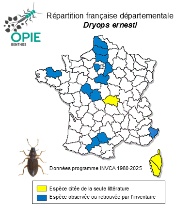 Carte de distribution de Dryops ernesti Gozis, 1886