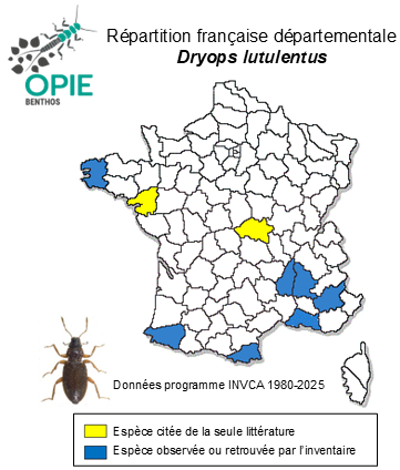 Carte de distribution de Dryops lutulentus (Erichson, 1847)