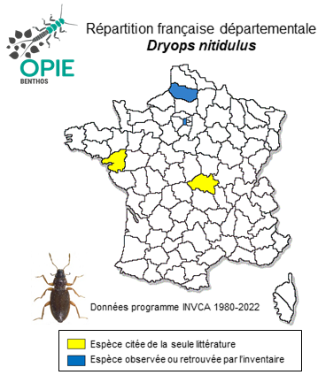 Carte de distribution de Dryops nitidulus (Heer, 1841)