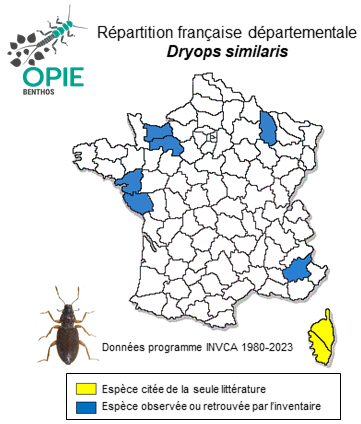 Carte de distribution de Dryops similaris Bollow, 1936