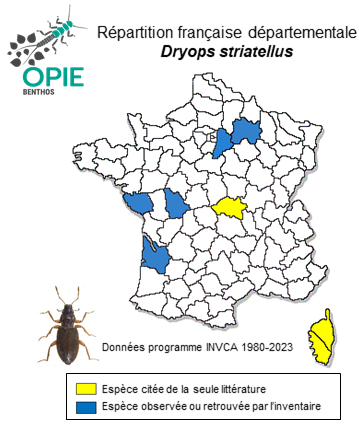 Carte de distribution de Dryops striatellus (Fairmaire & Brisout, 1859)