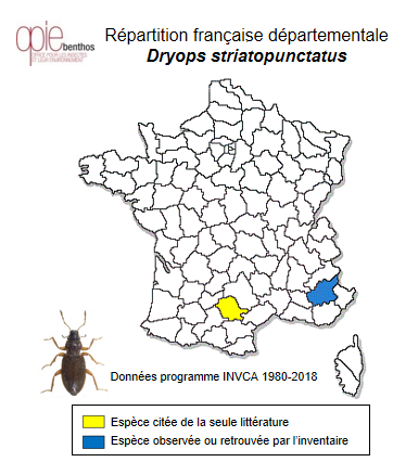 Carte de distribution de Dryops striatopuncatus (Heer, 1841)