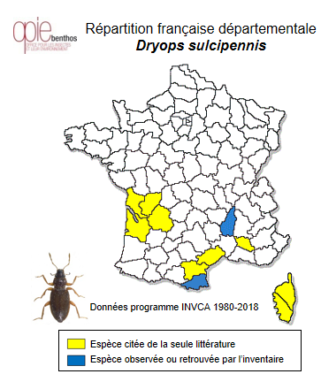 Carte de distribution de Dryops sulcipennis (A. Costa, 1883)