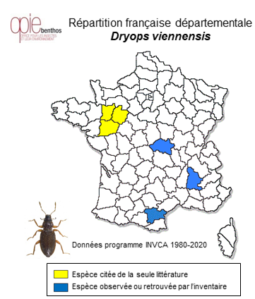 Carte de distribution de Dryops viennensis  (Laporte de Castelnau, 1840)